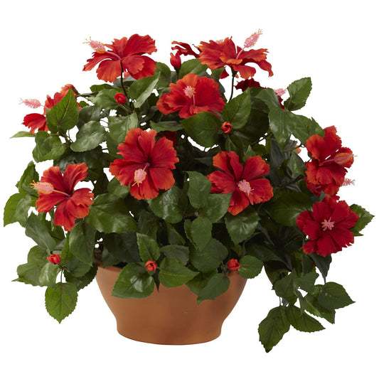 Hibiscus w/Clay Planter - Tampa Home & Garden Store