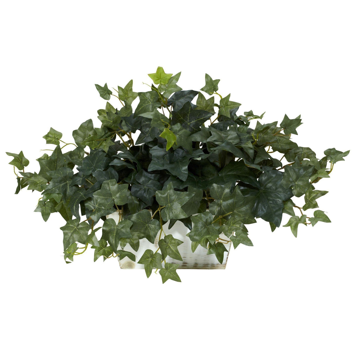 Ivy silk plant in whitewashed planter, artificial non-flowering plant by Nearly Natural on Tampa Home & Garden Store