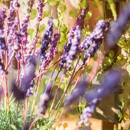 Faux Provence Lavender stem, 21in tall silk flower with purple blooms and green leaves, RusticReach on Tampa Home & Garden Store