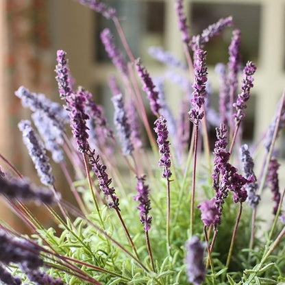 Faux Provence Lavender stem, 21in tall, purple silk blooms with green foliage, RusticReach on Tampa Home & Garden Store