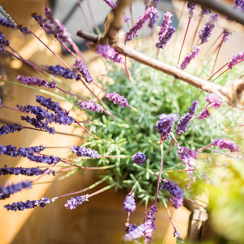 Faux Provence lavender silk stems, 21in tall, RusticReach multi-stem arrangement on Tampa Home & Garden Store