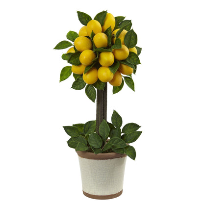 Composition topiaire "Boule de citron"