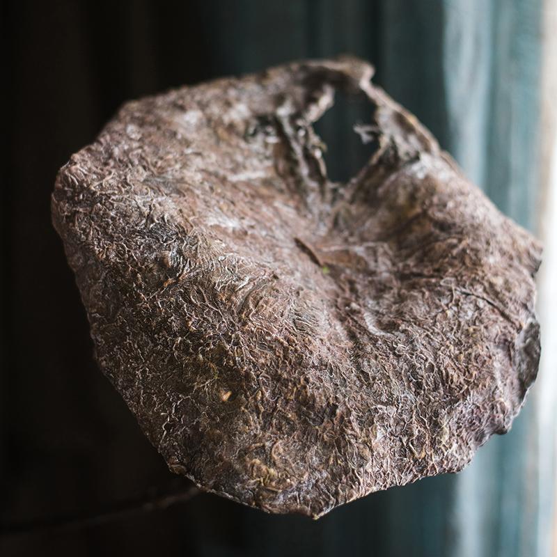 Artificial Lotus Dried Leaf Pod RusticReach brown textured on Tampa Home & Garden Store