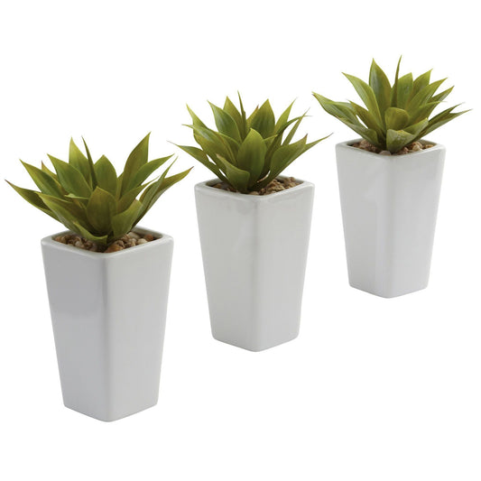Mini agave con macetero (Set de 3) Blanco