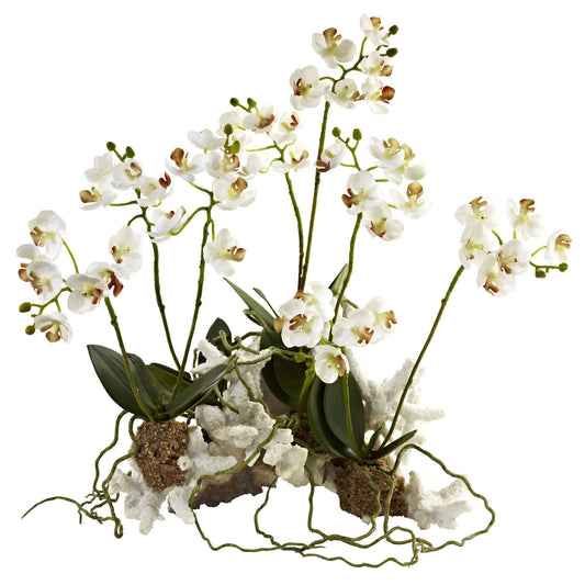 Mini Phalaenopsis orchid arrangement on coral base with white blooms and green stems on Tampa Home & Garden Store