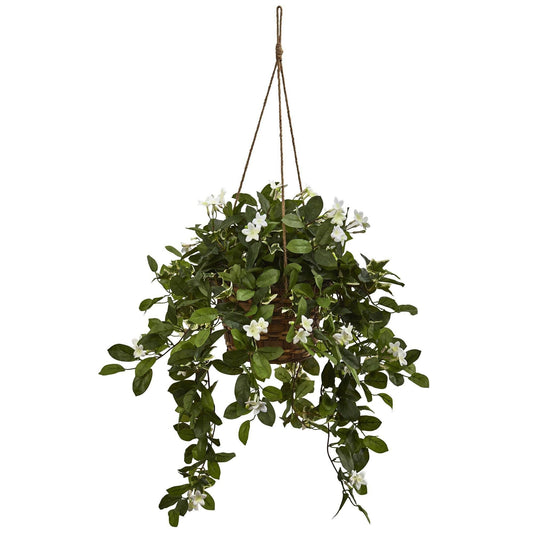 Cesta colgante de Stephanotis mixta