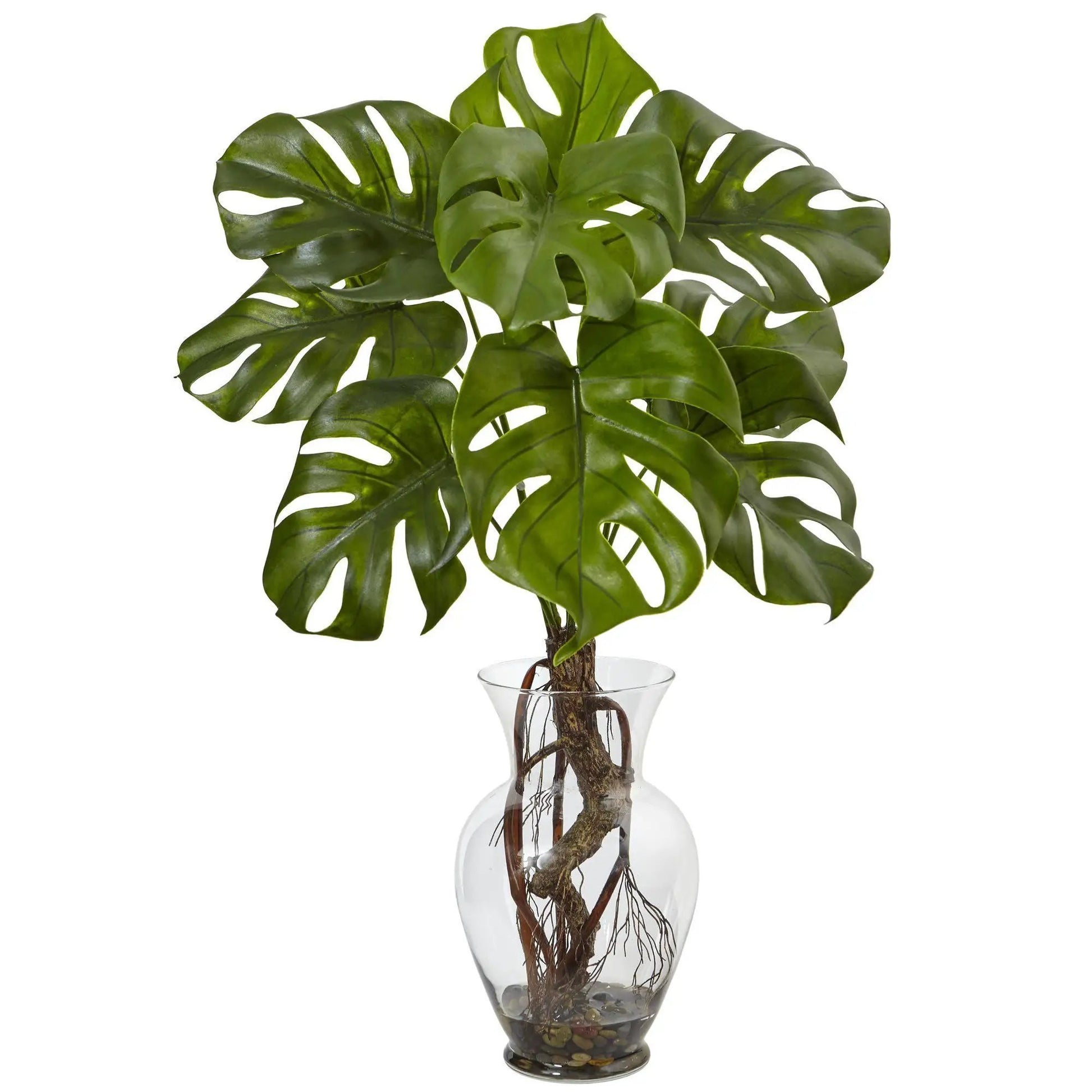 - image on Tampa Home & Garden Store