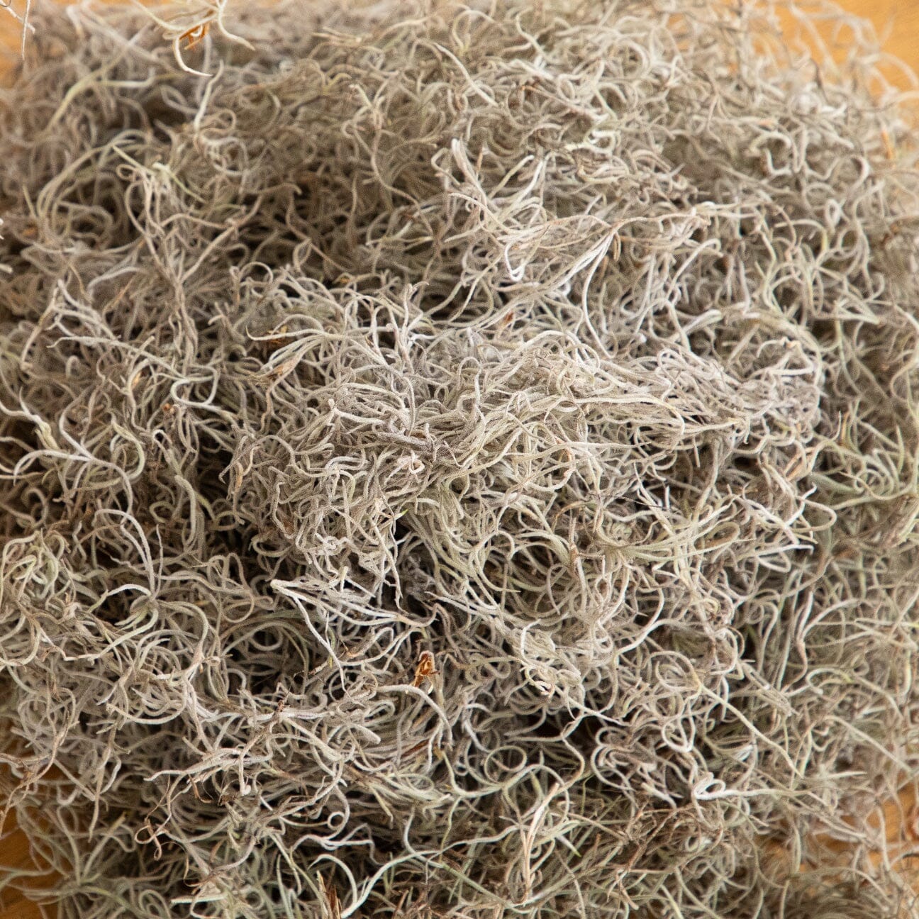 Natural Spanish Moss 5Lbs plant filler by Nearly Natural for vases, gray-green curly moss on Tampa Home & Garden Store