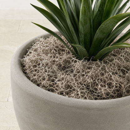 Natural Spanish Moss 5Lbs plant filler in beige for vase arrangements Nearly Natural on Tampa Home & Garden Store