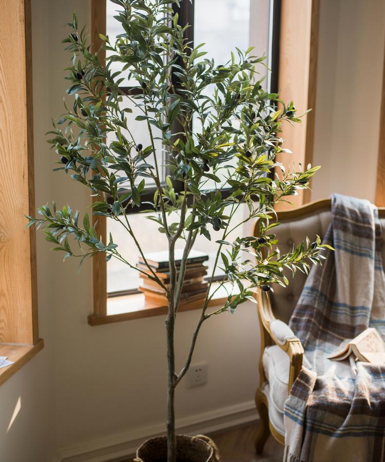Artificial olive tree in a woven basket pot with dense green foliage indoors by a window on Tampa Home & Garden Store