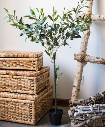 Artificial Silk Faux Olive Tree in Pot RusticReach, tall green-leaved plant in black pot on Tampa Home & Garden Store