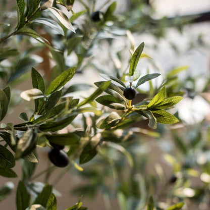 Artificial Silk Faux Olive Tree In Pot RusticReach with dark green leaves and black olives on Tampa Home & Garden Store