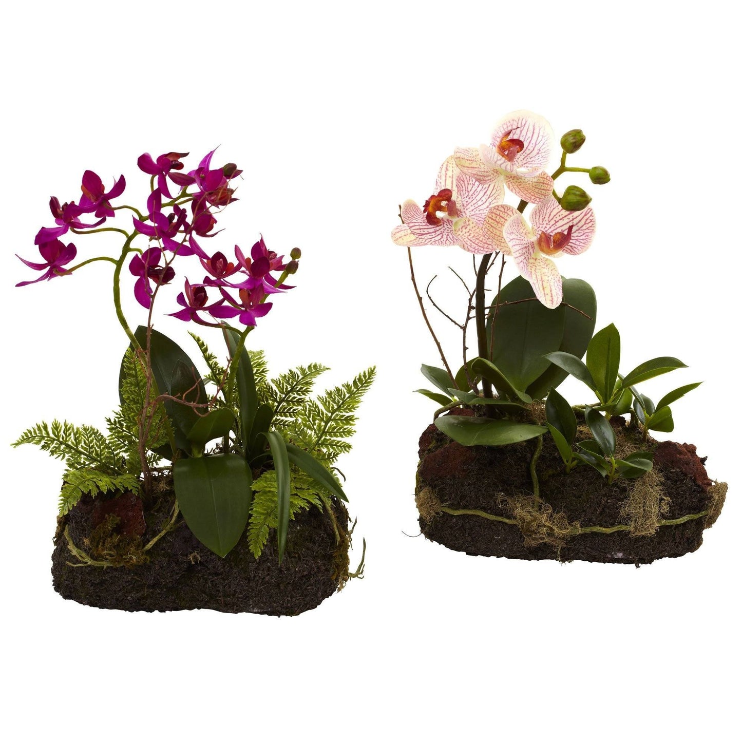 Orchid Island (Set de 2)