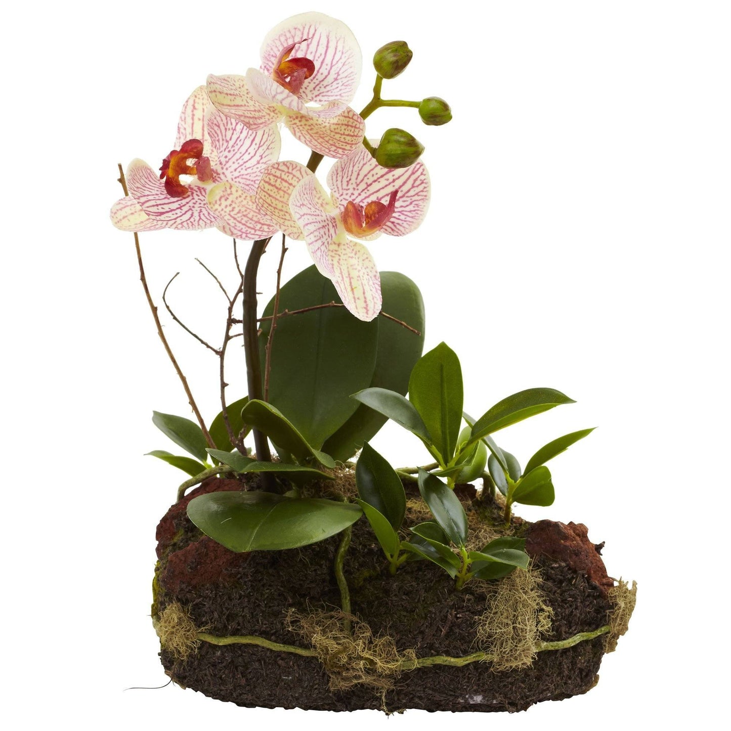 Orchid Island (Set de 2)