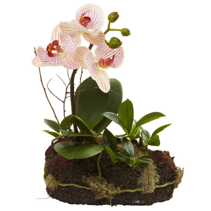Orchid Island (Set de 2)