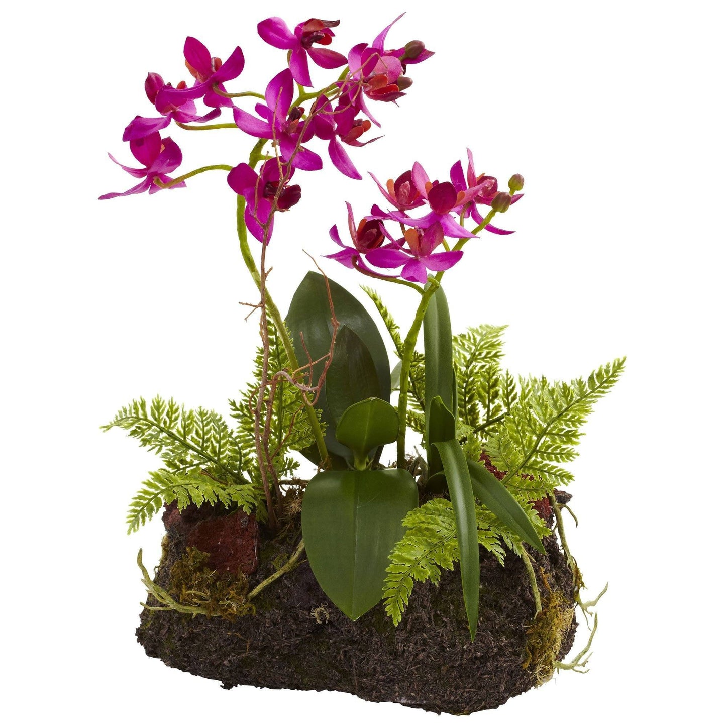 Orchid Island (Set de 2)