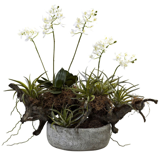 Orchid & Succulent Garden w/Driftwood & Decorative Vase - Tampa Home & Garden Store