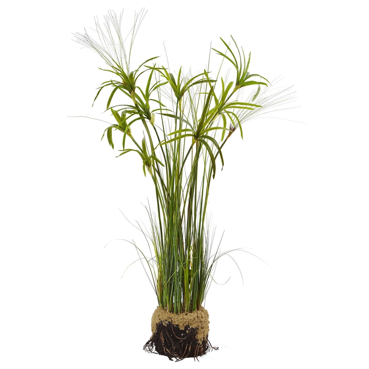 Planta de papiro con tierra falsa