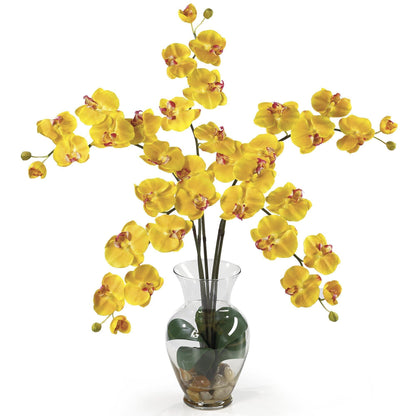 Phalaenopsis Liquid Illusion yellow orchid arrangement in a clear glass vase Nearly Natural on Tampa Home & Garden Store