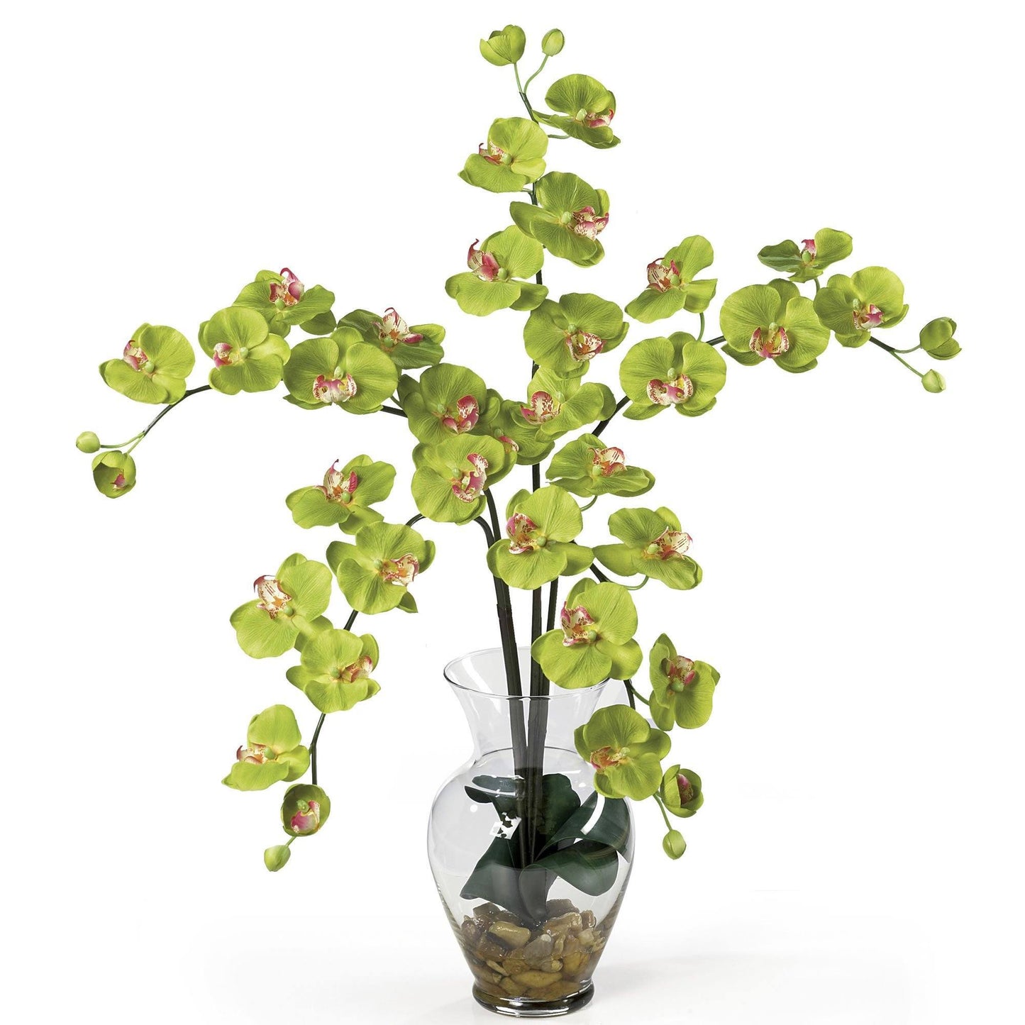 Phalaenopsis Liquid Illusion Silk Flower Arrangement lime green orchids in clear glass vase on Tampa Home & Garden Store
