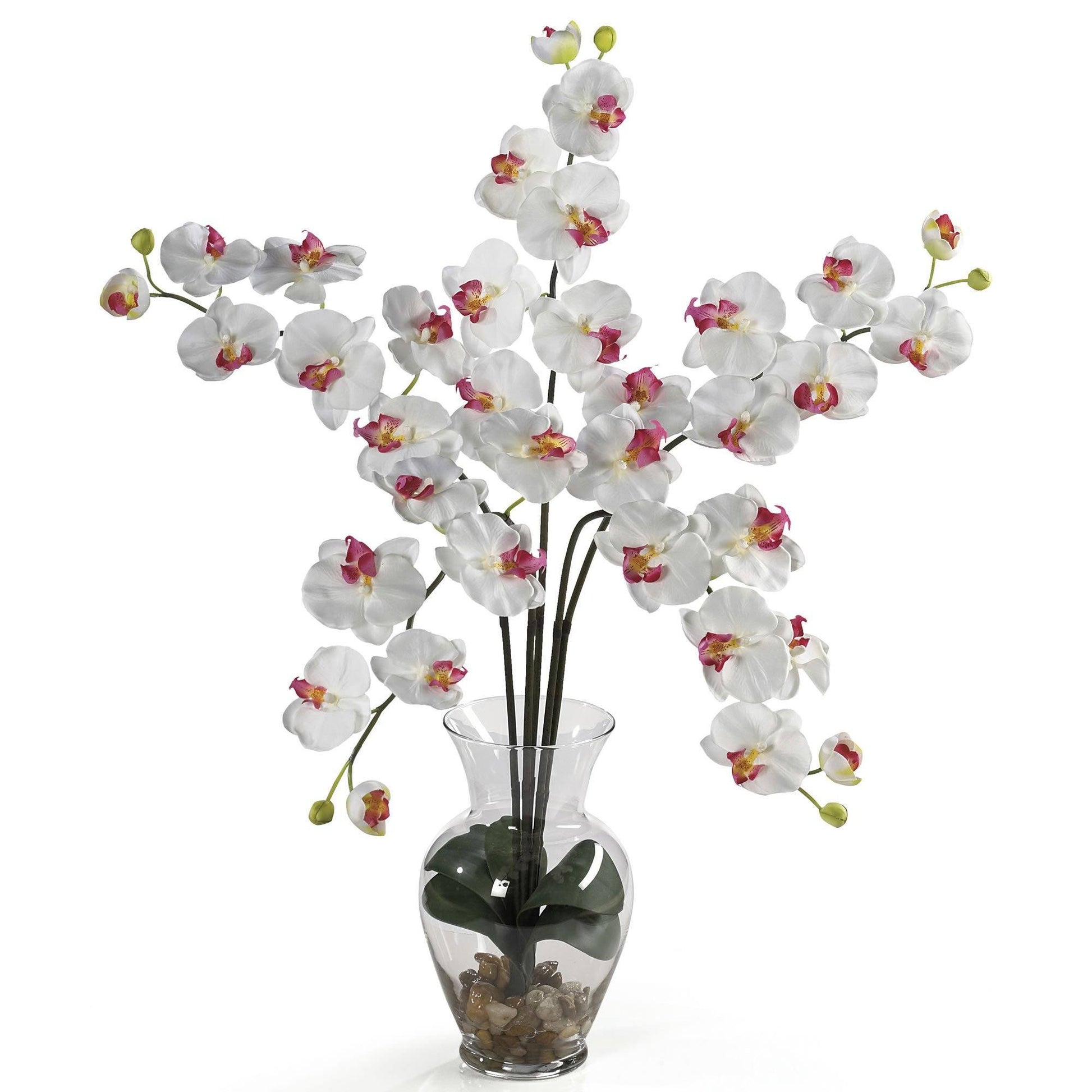 Phalaenopsis Liquid Illusion silk flower arrangement in white with pink centers in vase on Tampa Home & Garden Store