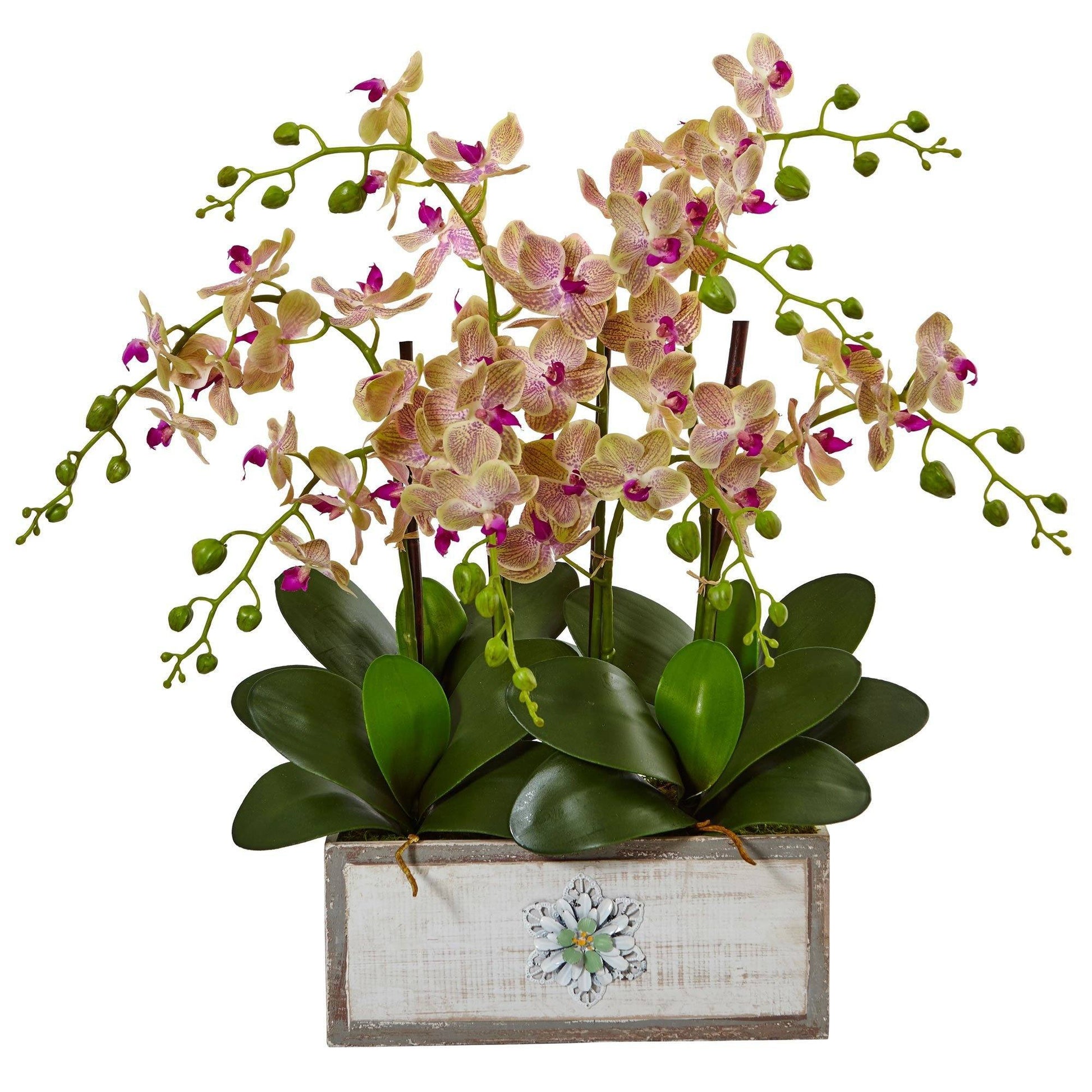 Phalaenopsis orchid arrangement in decorative wood vase, Nearly Natural pink blooms on Tampa Home & Garden Store