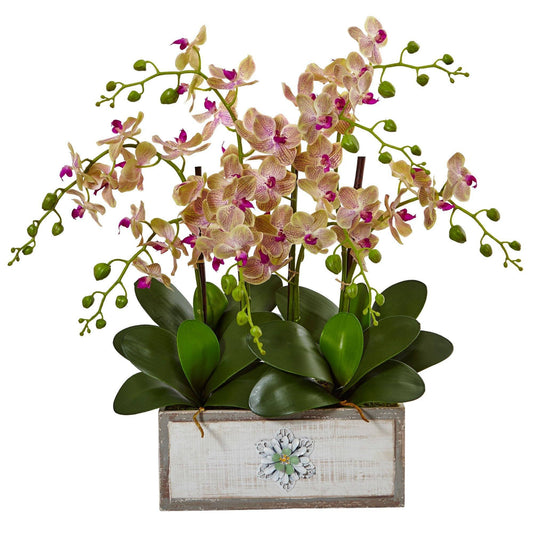 Phalaenopsis orchid arrangement in decorative wood vase, Nearly Natural pink blooms on Tampa Home & Garden Store