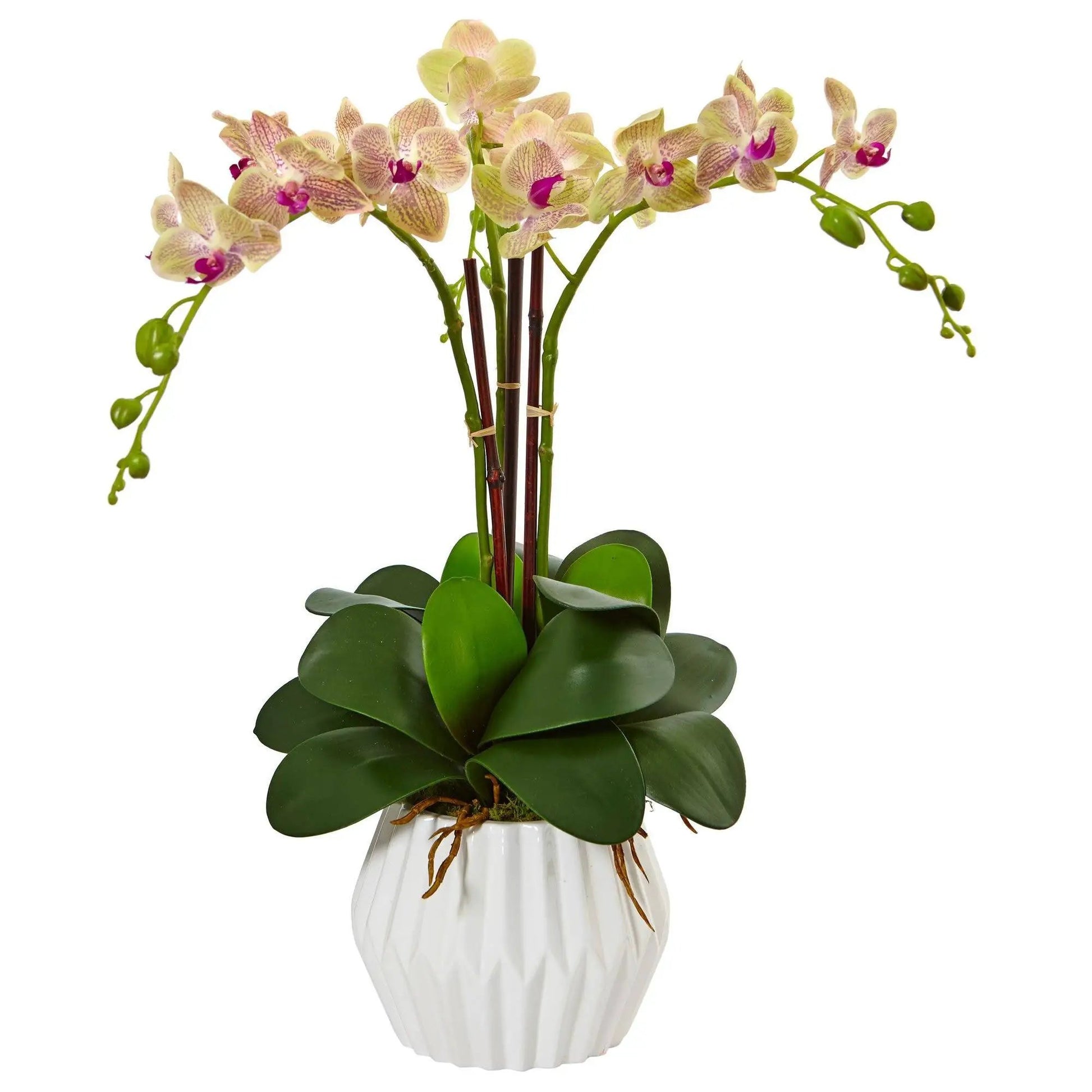 - image on Tampa Home & Garden Store