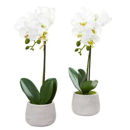 Phalaenopsis orchid artificial arrangement set of 2 with white blooms in gray ceramic pots on Tampa Home & Garden Store
