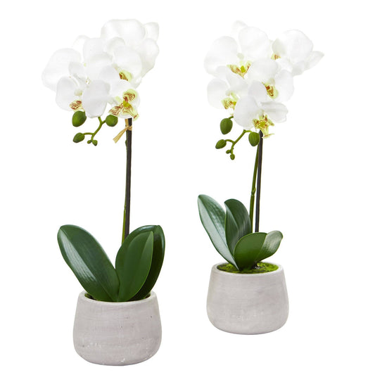 Phalaenopsis orchid artificial arrangement set of 2 with white blooms in gray ceramic pots on Tampa Home & Garden Store