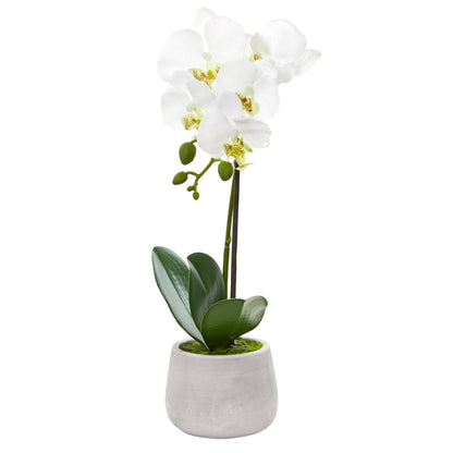 Phalaenopsis orchid artificial arrangement set of 2 with white blooms in pot Nearly Natural on Tampa Home & Garden Store
