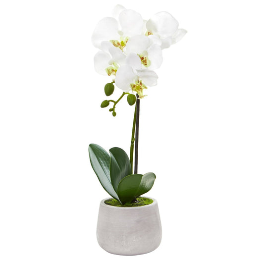 Phalaenopsis orchid artificial arrangement set of 2 with white blooms in pot Nearly Natural on Tampa Home & Garden Store