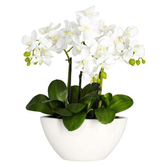 Artificial Phalaenopsis Arrangement - Tampa Home & Garden Store