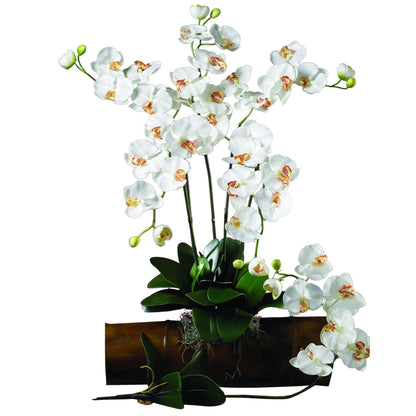 Silk Phalaenopsis Orchid Flowers and Arrangements
