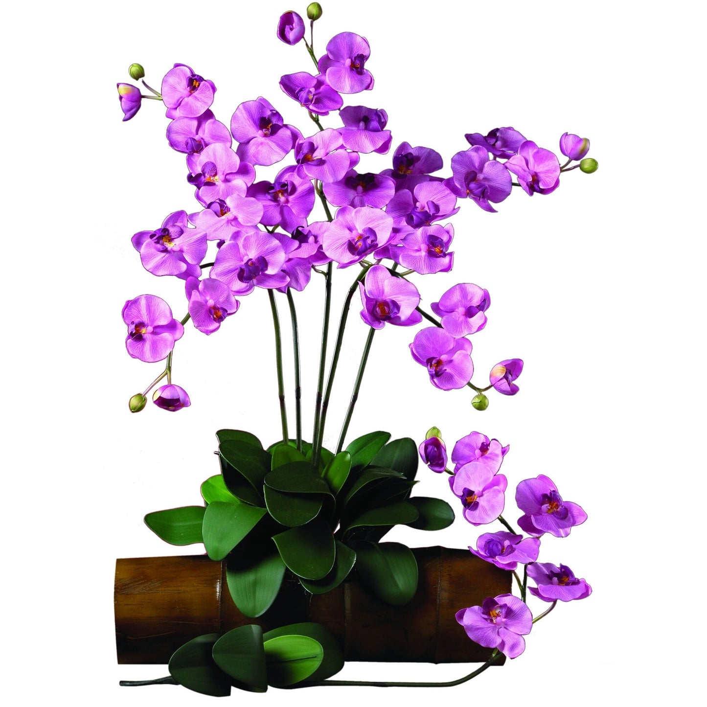 Silk Phalaenopsis Orchid Flowers and Arrangements