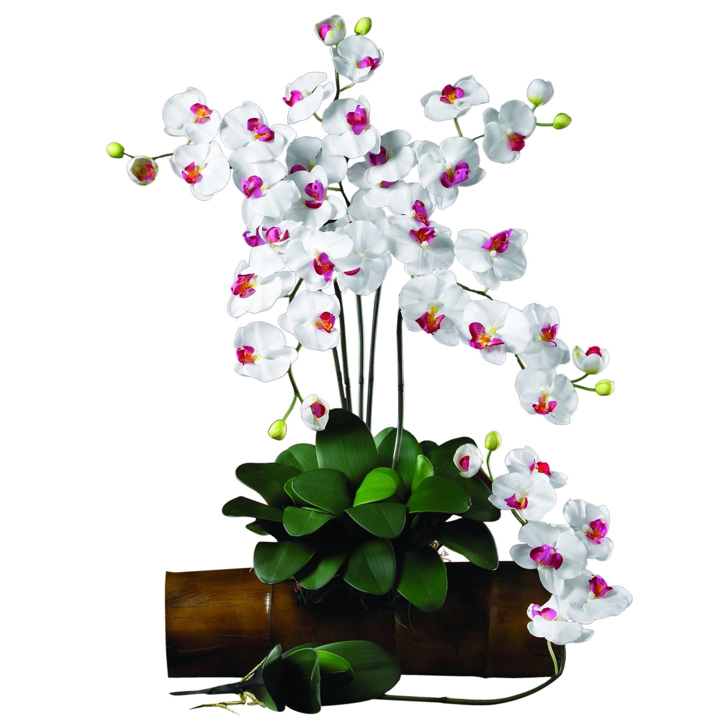 Silk Phalaenopsis Orchid Flowers and Arrangements