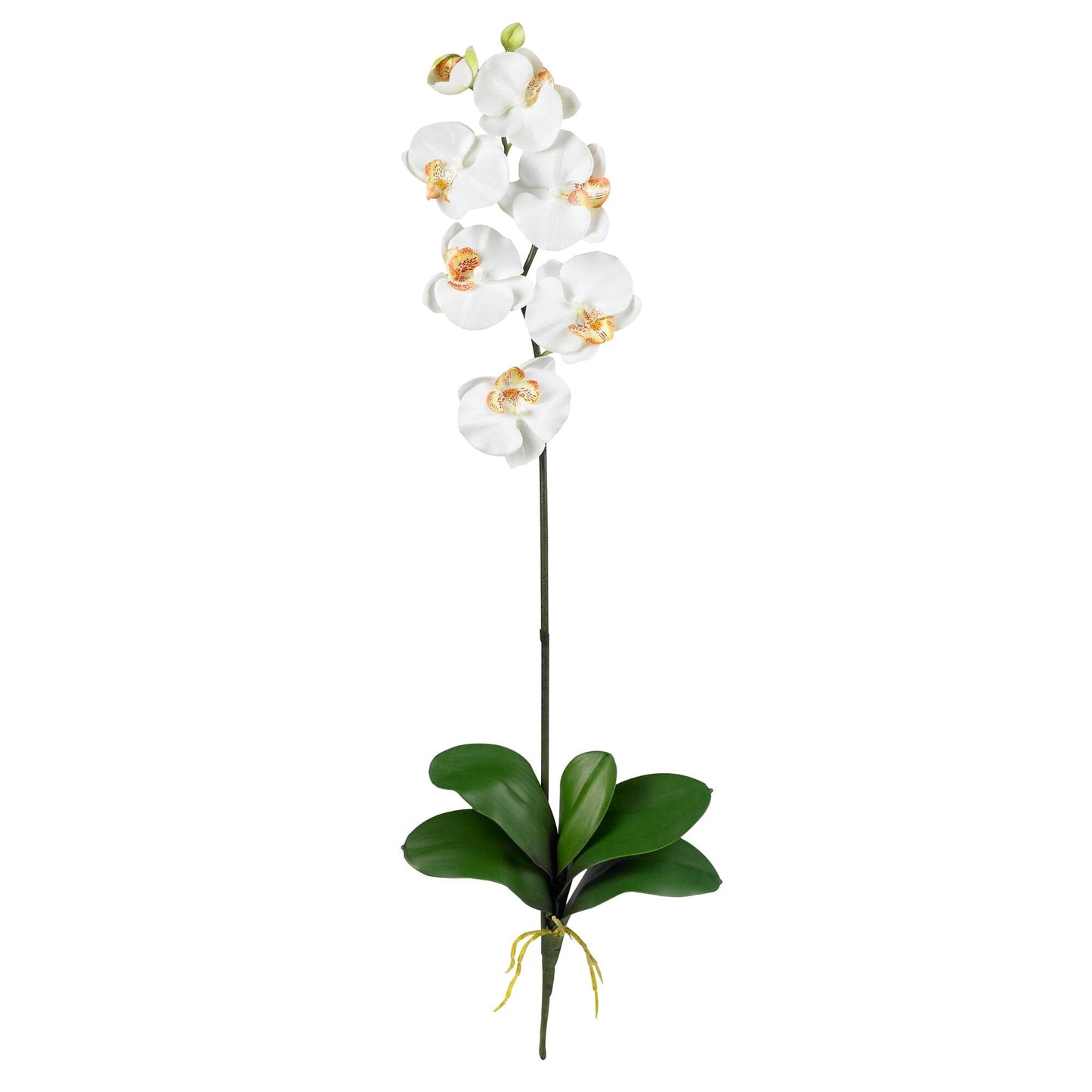 Silk Phalaenopsis Orchid Flowers and Arrangements