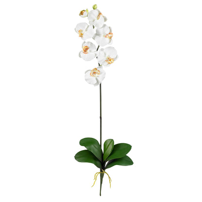 Silk Phalaenopsis Orchid Flowers and Arrangements