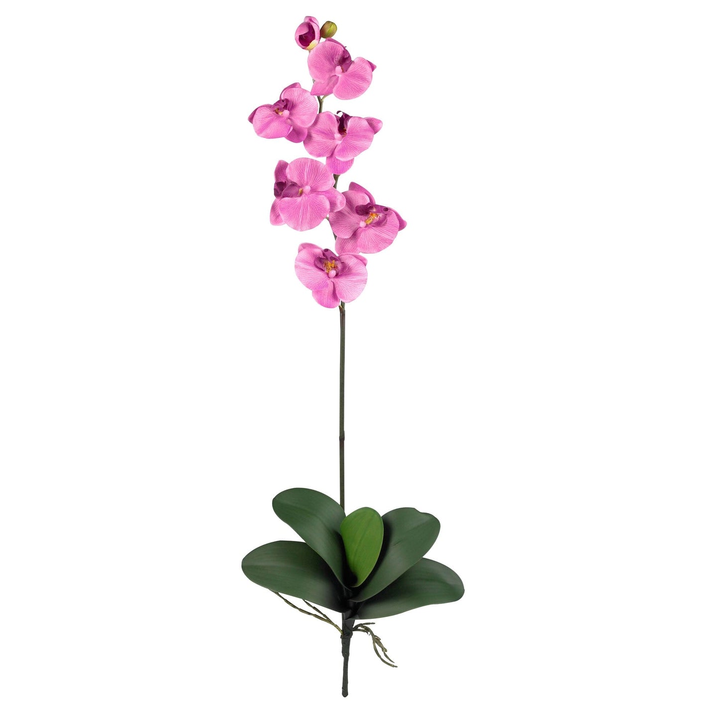 Silk Phalaenopsis Orchid Flowers and Arrangements