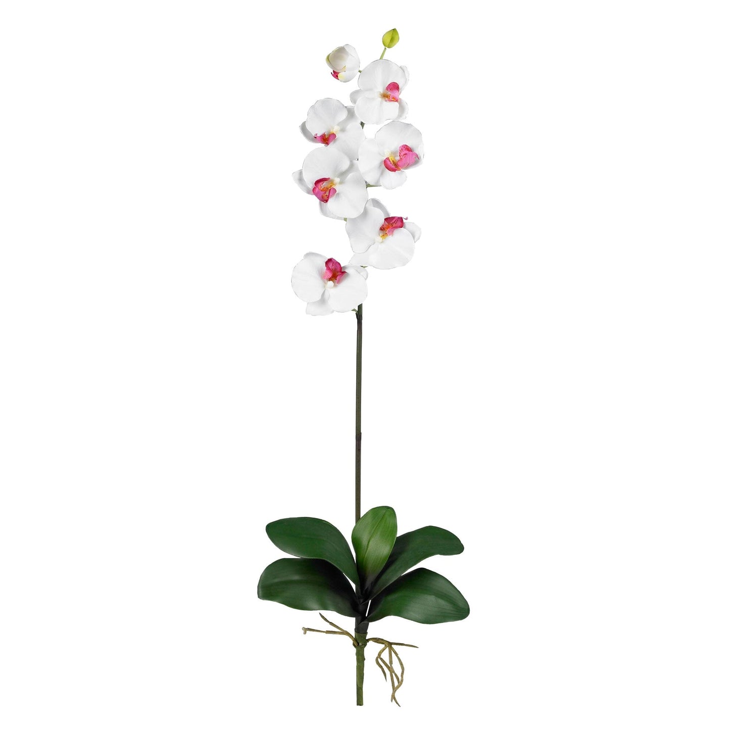 Silk Phalaenopsis Orchid Flowers and Arrangements