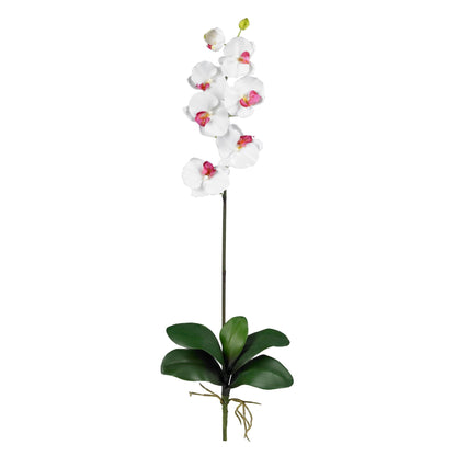 Silk Phalaenopsis Orchid Flowers and Arrangements