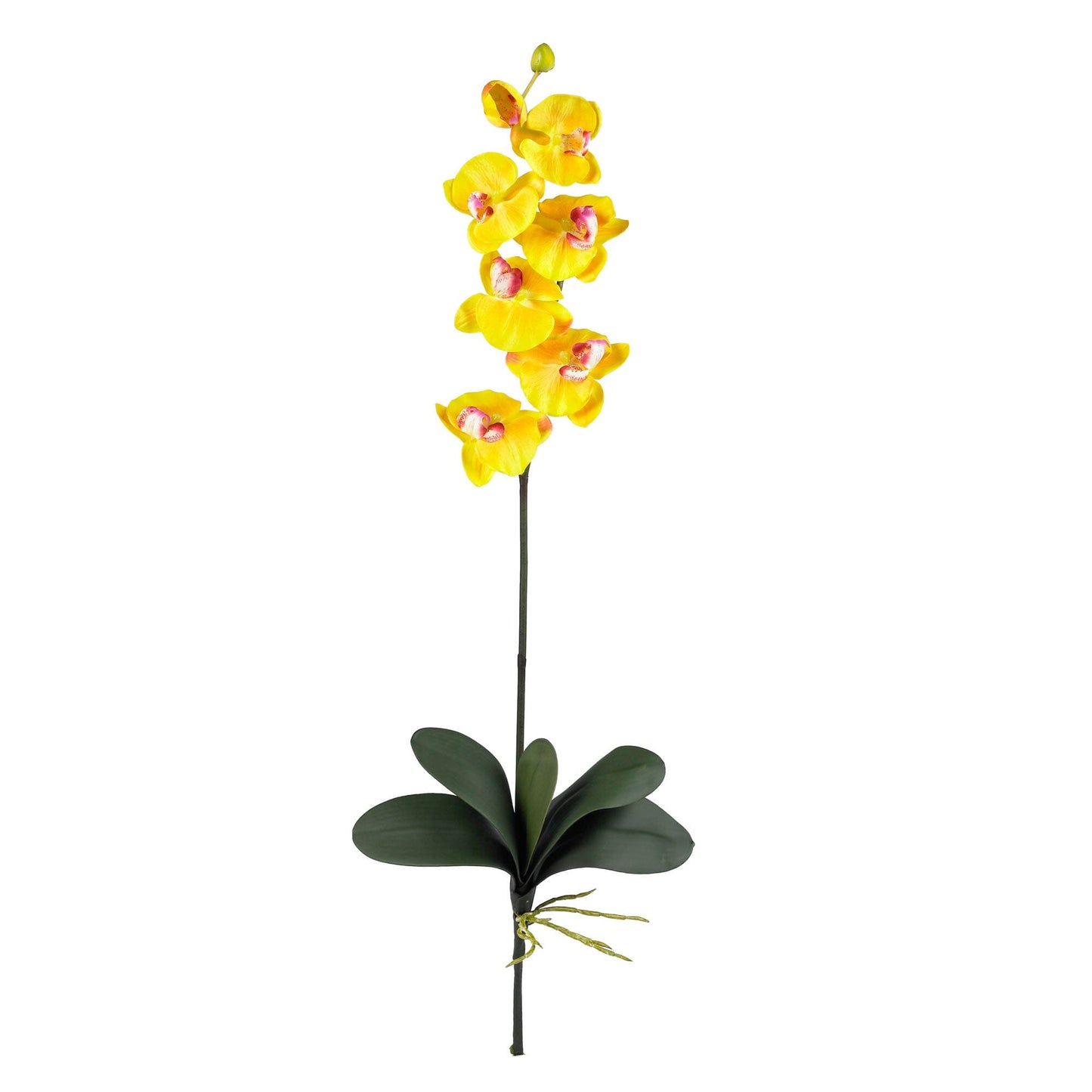 Silk Phalaenopsis Orchid Flowers and Arrangements