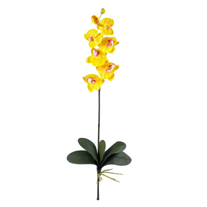 Silk Phalaenopsis Orchid Flowers and Arrangements