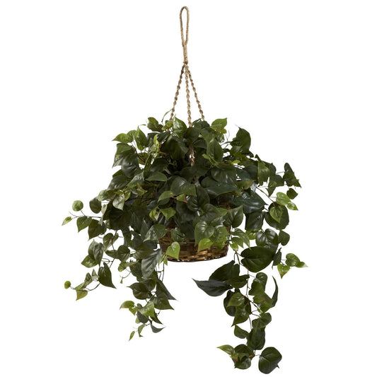 Philo Hanging Basket - Tampa Home & Garden Store