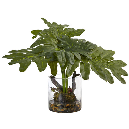Philodendron Arrangement with Vase - Tampa Home & Garden Store