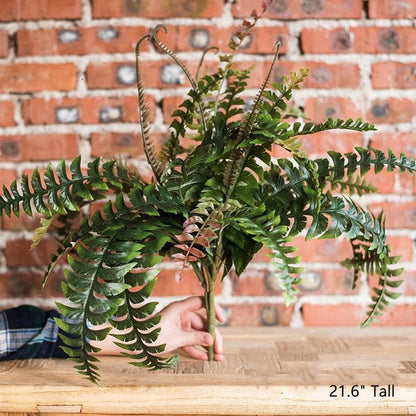 Artificial Faux Plant Big Rock Fern Stem by RusticReach, green fern fronds, 22in tall on Tampa Home & Garden Store