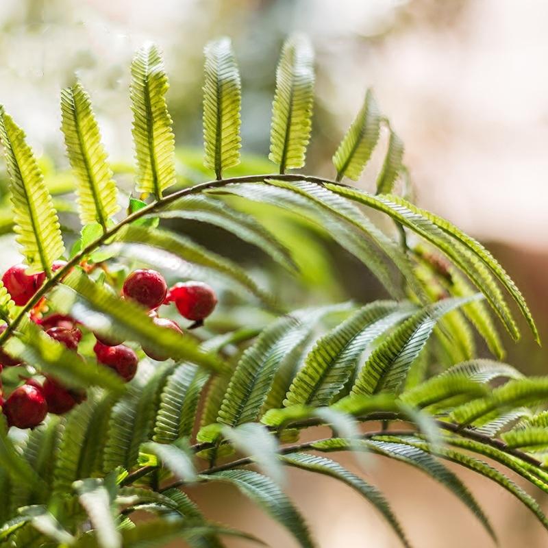 Artificial chain fern stem with green fronds and red berries, RusticReach 22 inches tall on Tampa Home & Garden Store