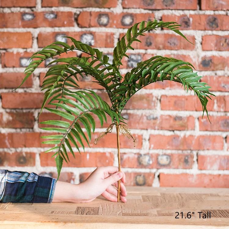 RusticReach artificial chain fern stem, 22in tall, green fronds held by hand against wall on Tampa Home & Garden Store