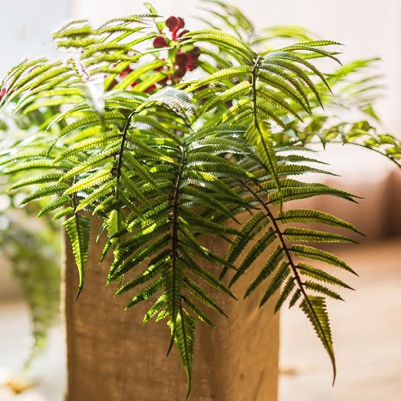 Artificial chain fern stem 22 in tall, vibrant green faux plant RusticReach on Tampa Home & Garden Store