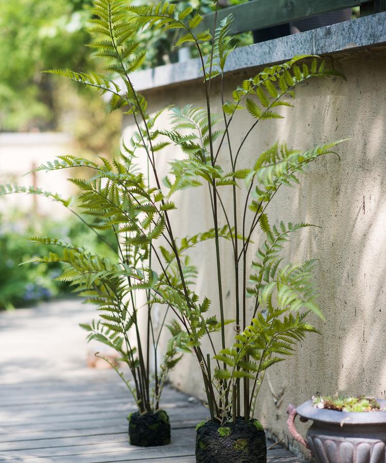 Two Artificial Eagle Fern Bulk Plants by RusticReach with tall green fronds in mossy pots on Tampa Home & Garden Store
